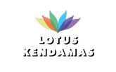 Picture for category Lotus Kendamas Picture for category Lotus Kendamas