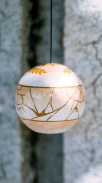 Image de Ryoga Champ Mod - Lotus Kendamas