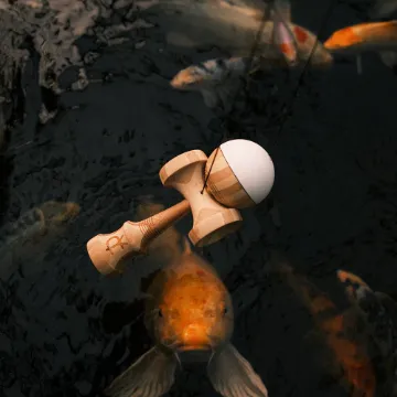 Image de MARS Mod - Lotus Kendamas