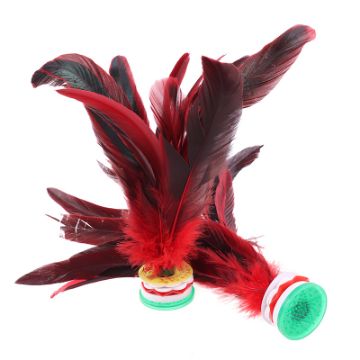 Bild von Jianzi - traditional Chinese shuttlecock game